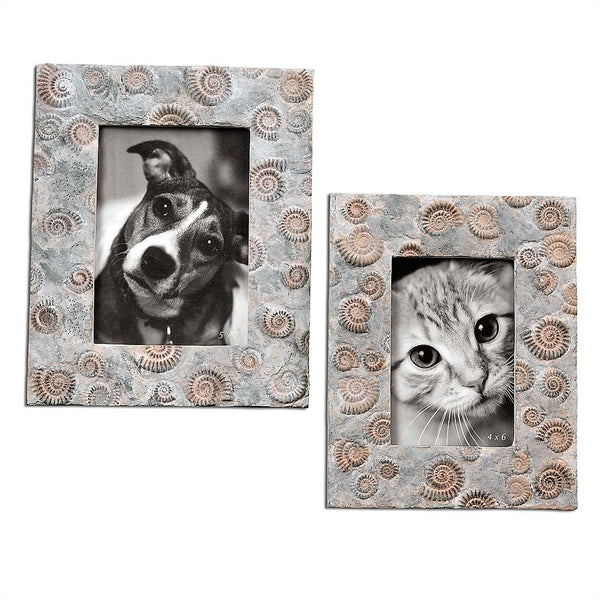 Spirula Photo Frame